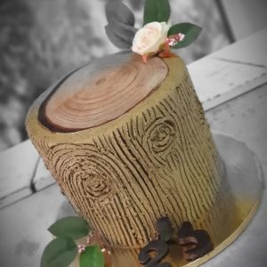 עוגה מעוצבת בול עץ